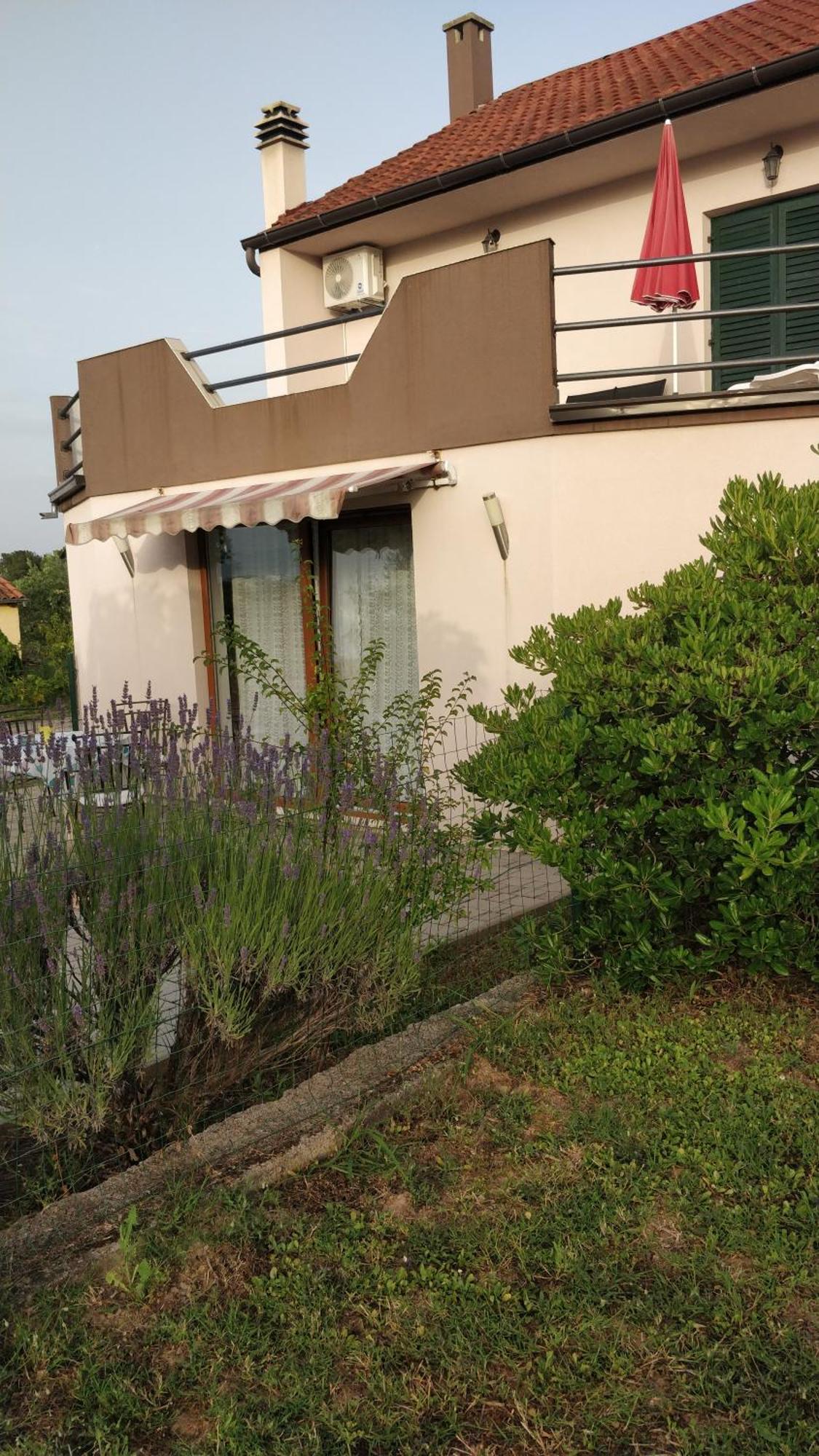 Apartment Lavinia Zadar Exterior photo